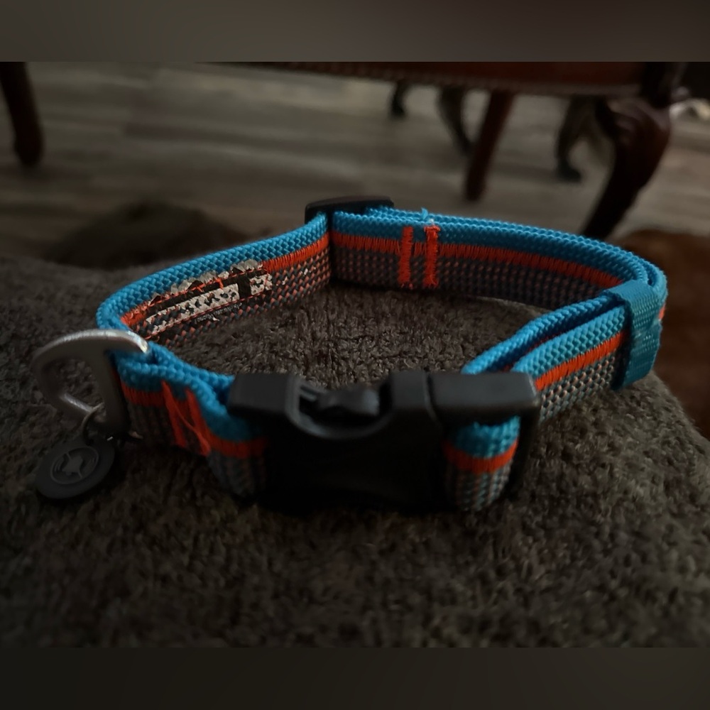 Arcadia Trail 22 Rope Durable Dog Collar Size: M Color: Blue / Orange